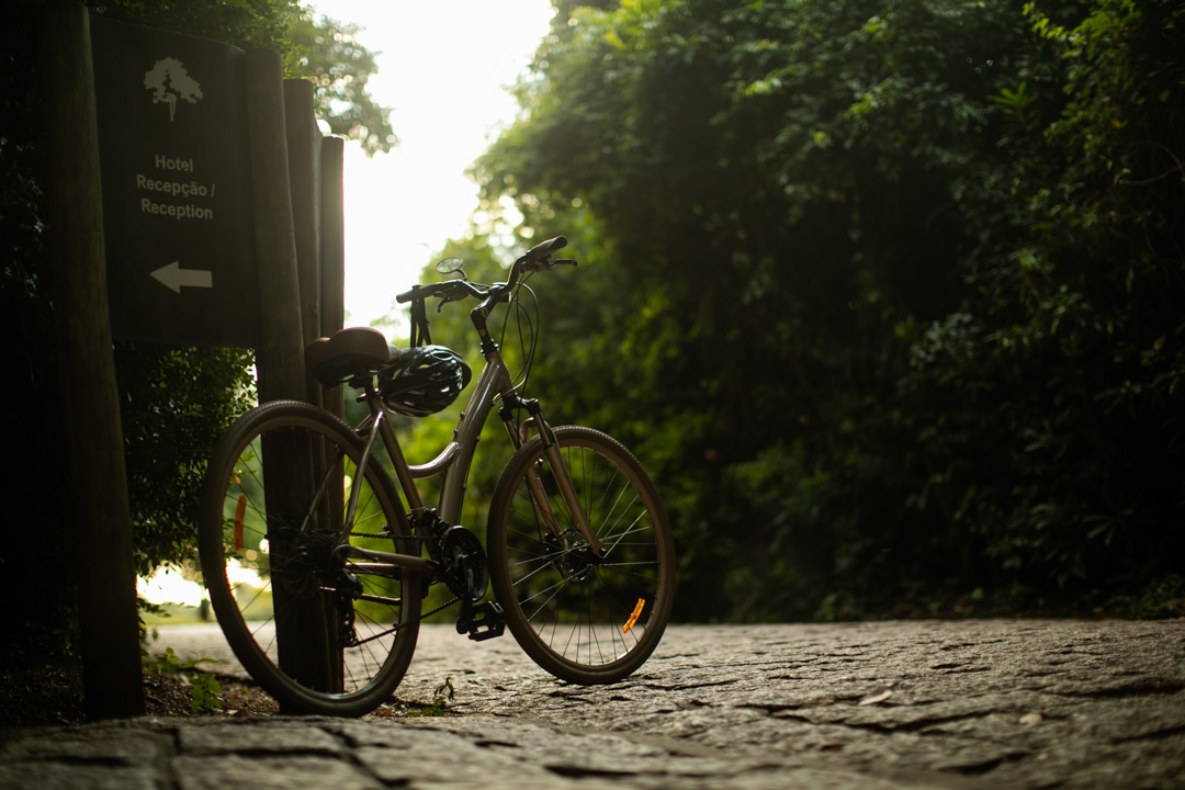 Bike Tour