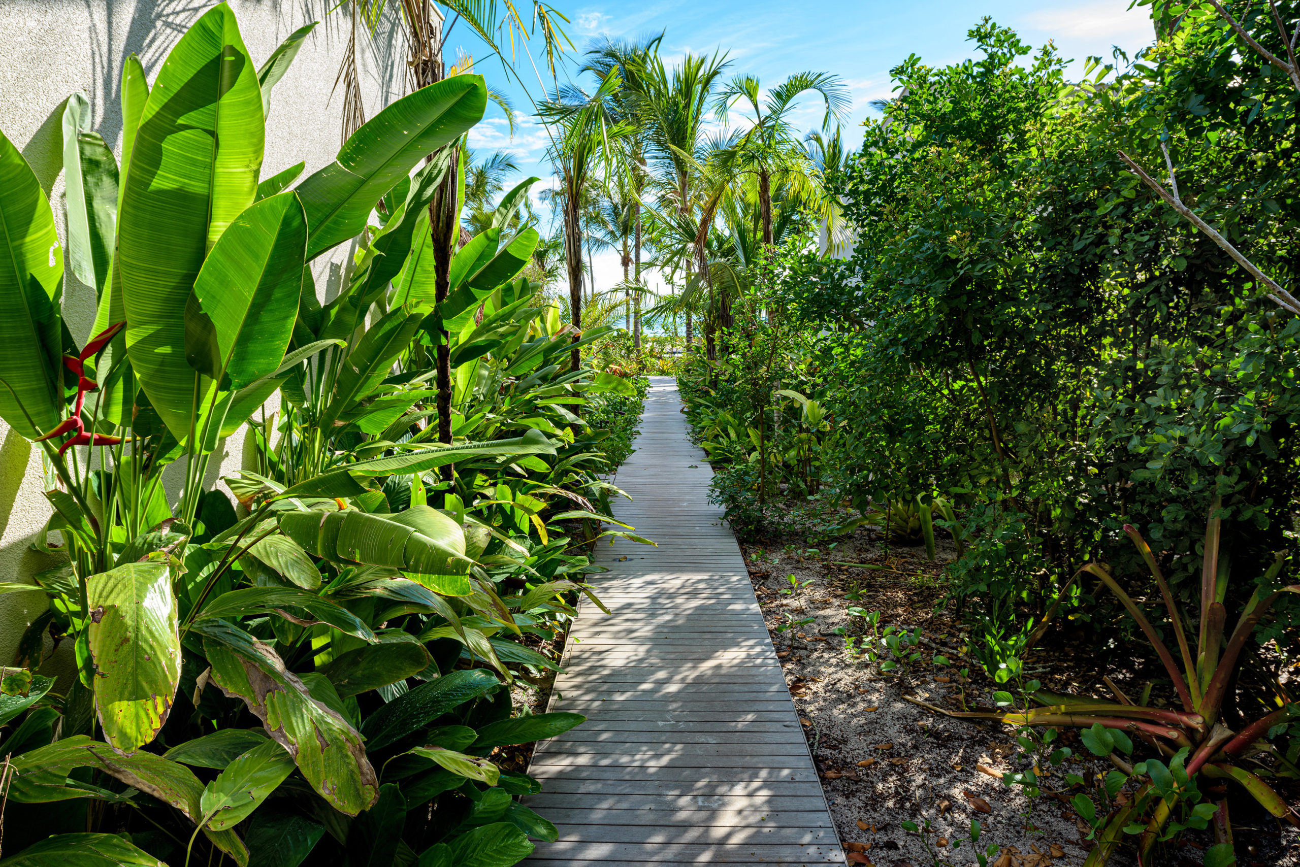 Biodiversidade